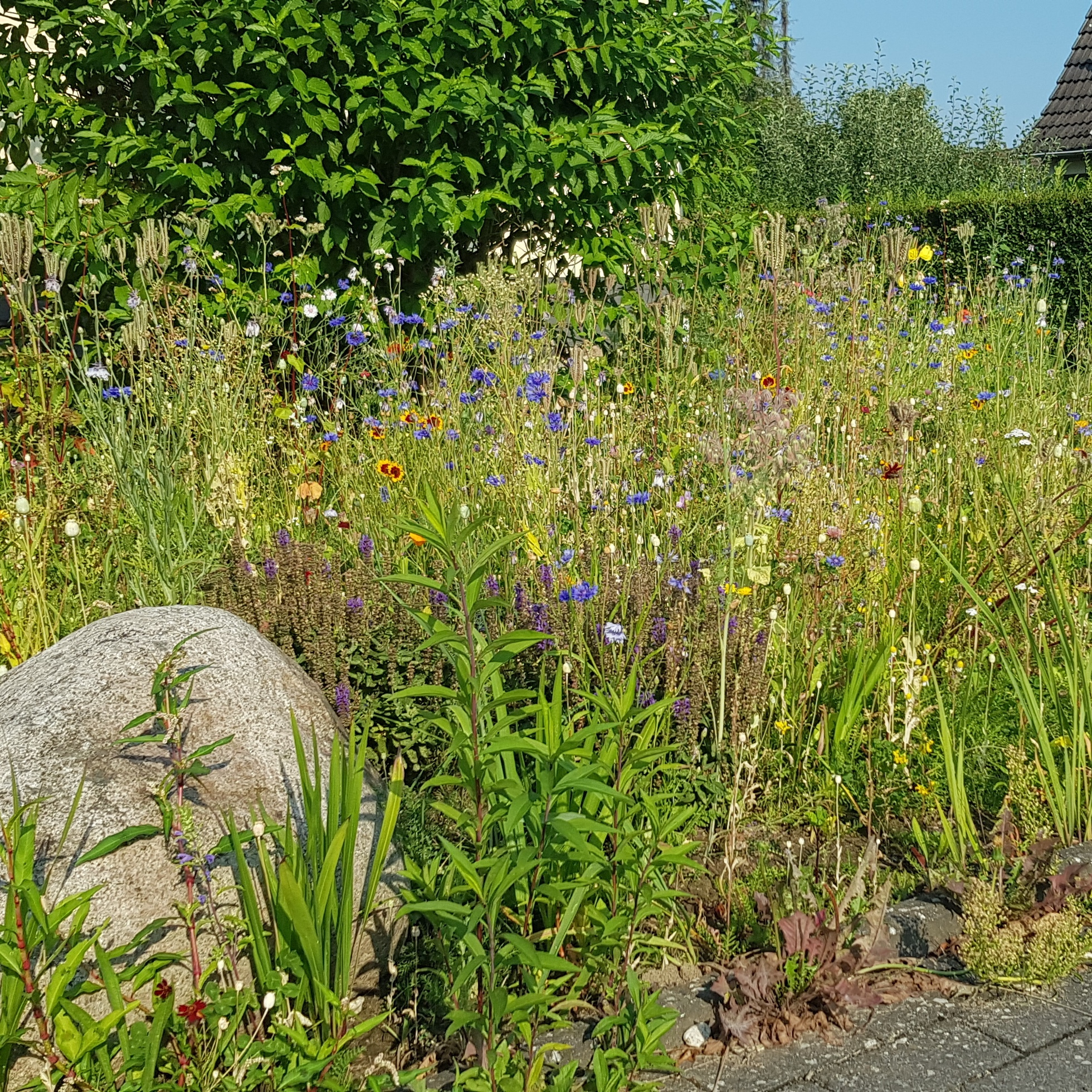 Und noch ein vielfältig blühendes Beet